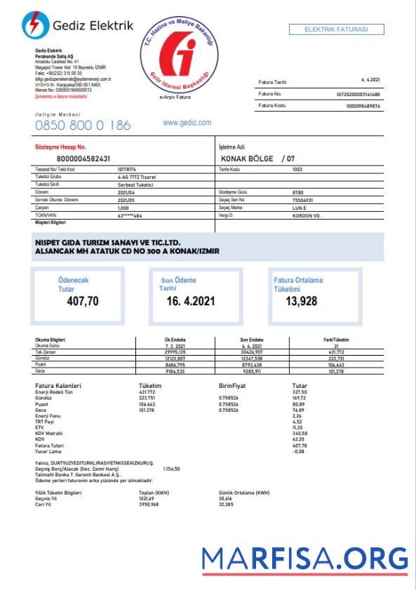 Blank Turkey Gediz Elektrik utility bill template in Word and PDF format, fully editable